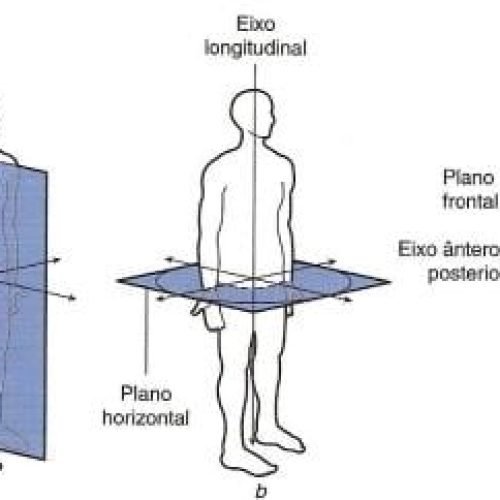 PLANO E POSIÇÕES ANATOMICAS