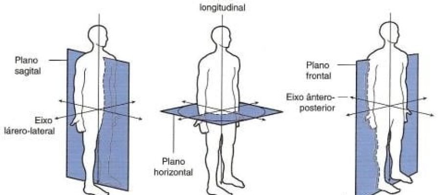 PLANO E POSIÇÕES ANATOMICAS